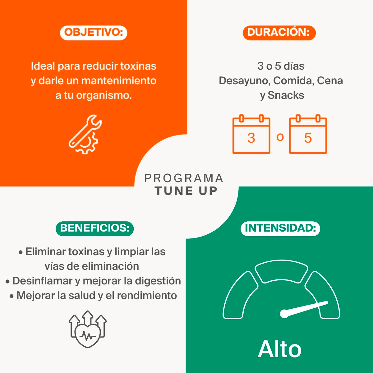 Programa Tune Up