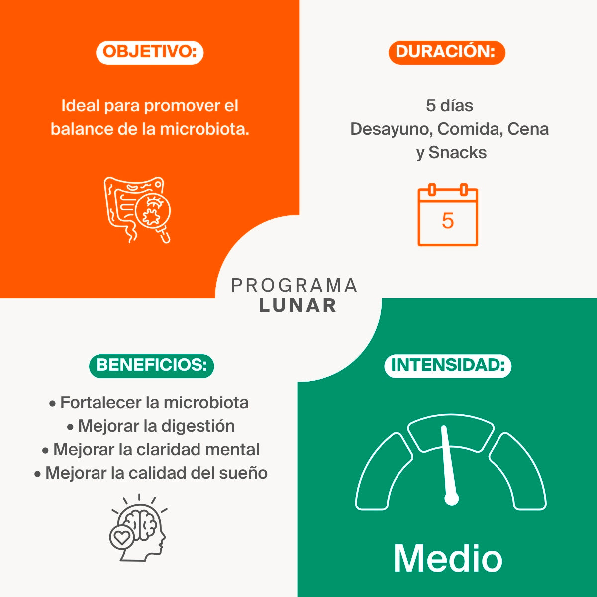 Programa Lunar en Grupo