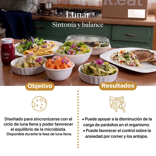 Programa Lunar