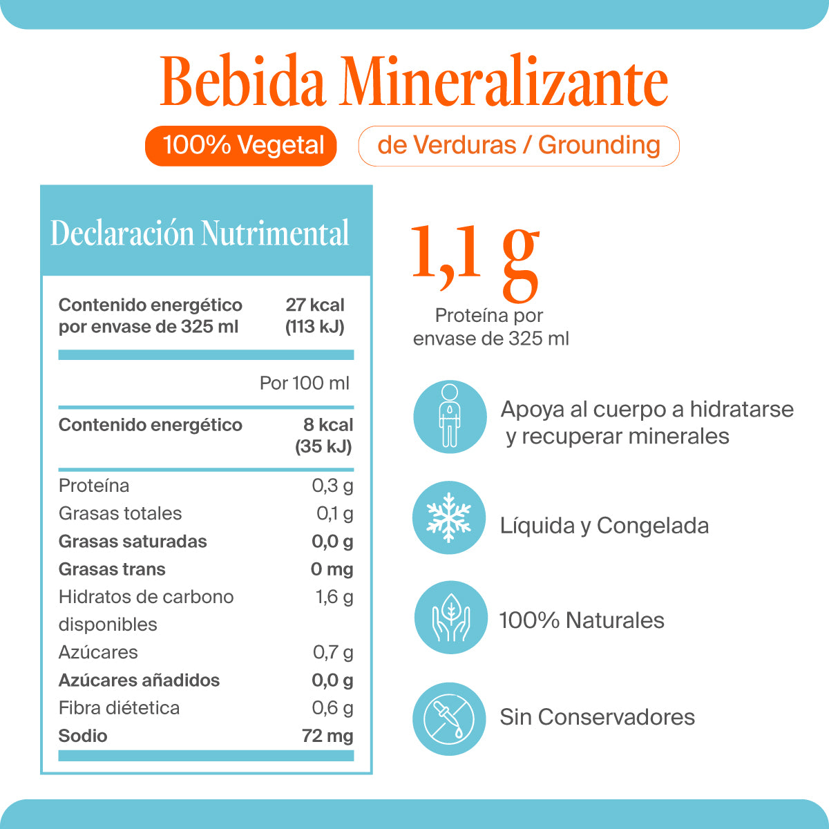 Caldo de Verduras Mineralizante / Grounding