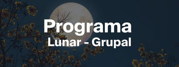 Tu Microbiota 🦠 : Equilibrando tu Interior con el Programa Lunar ✨