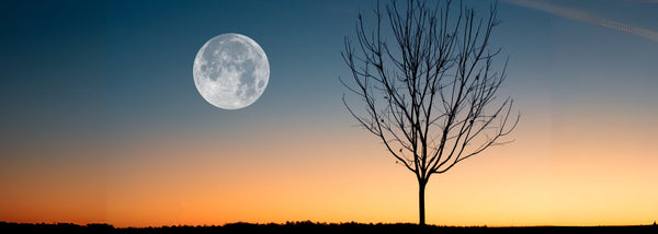 ¿Sincronizado con la Luna? Descubre su Impacto Sorprendente en tu Cuerpo y Mente