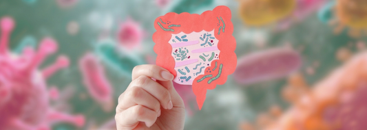 La clave invisible: Por qué tu salud empieza en el intestino 🦠✨