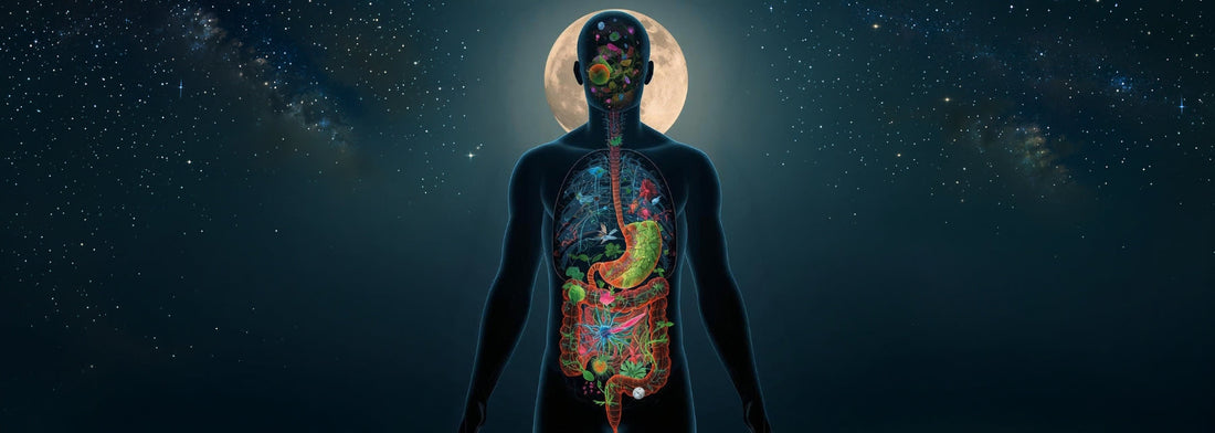 ¿Sincronizado con la Luna? Cómo Aprovechar su Energía para Tu Bienestar 🌕