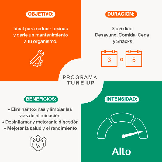 Programa Tune Up