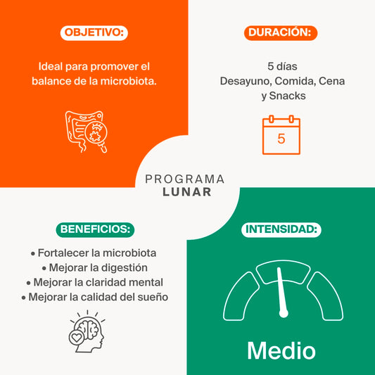 Programa Lunar