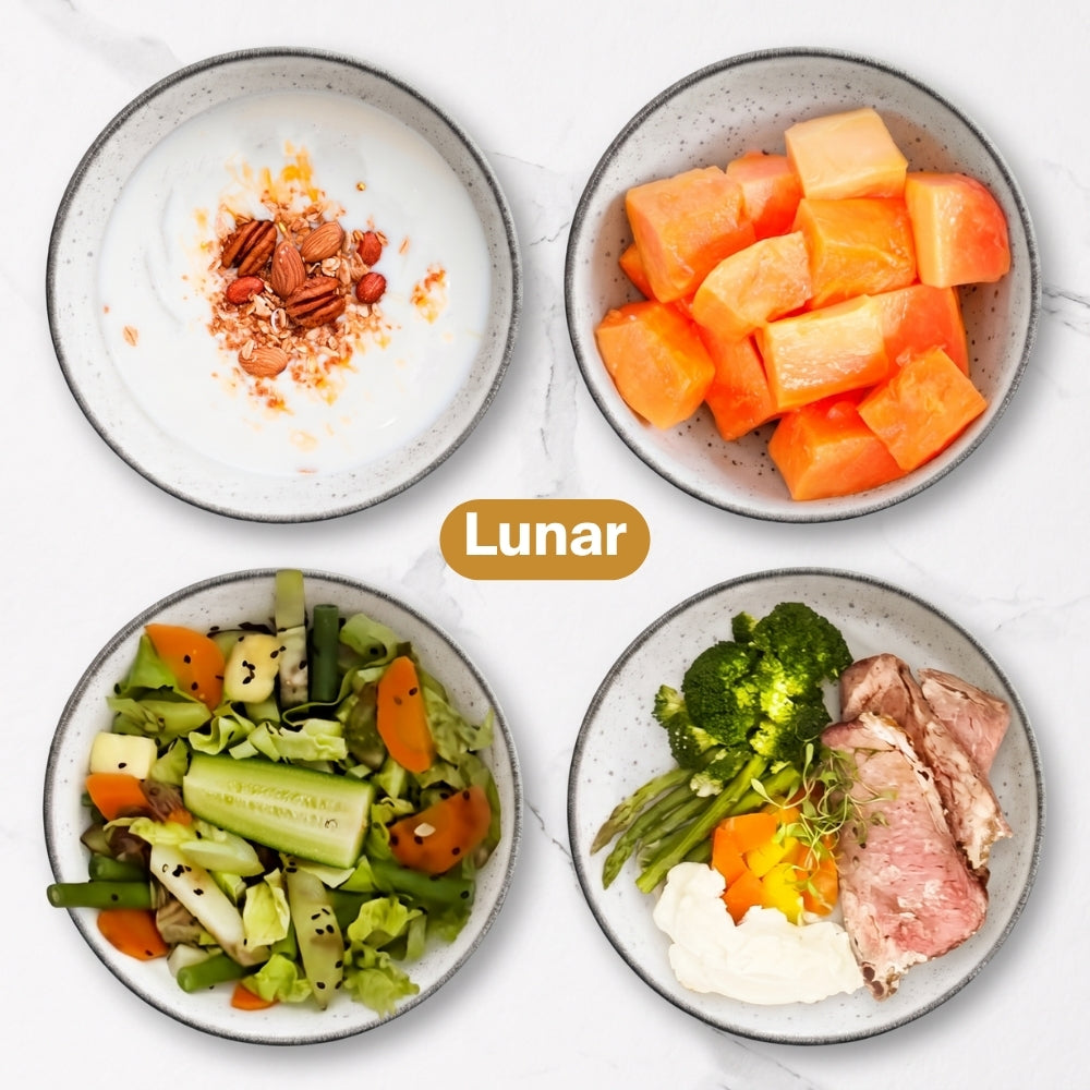 Programa Lunar