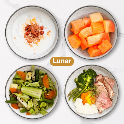 Programa Lunar