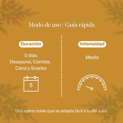 Programa Lunar