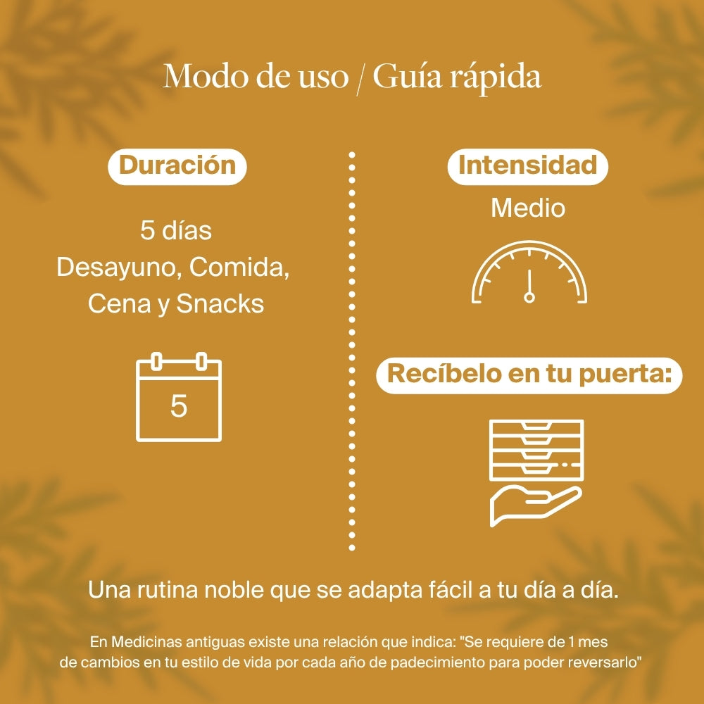 Programa Lunar