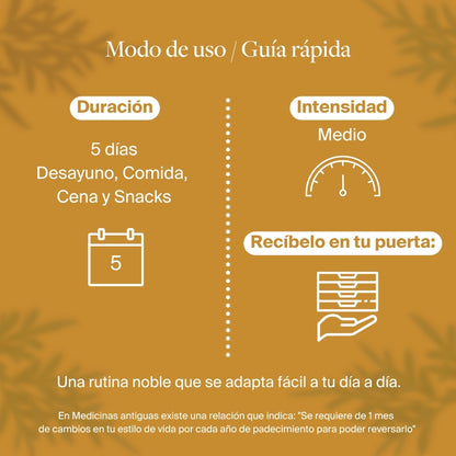 Programa Lunar