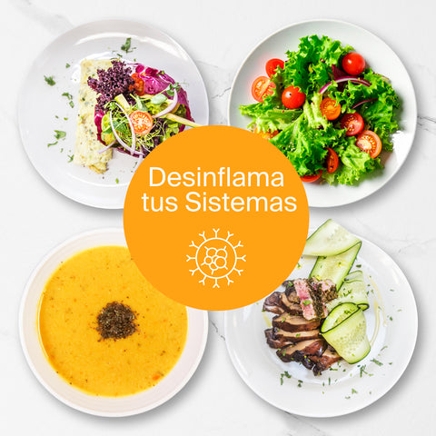 Programa Menú k.eat