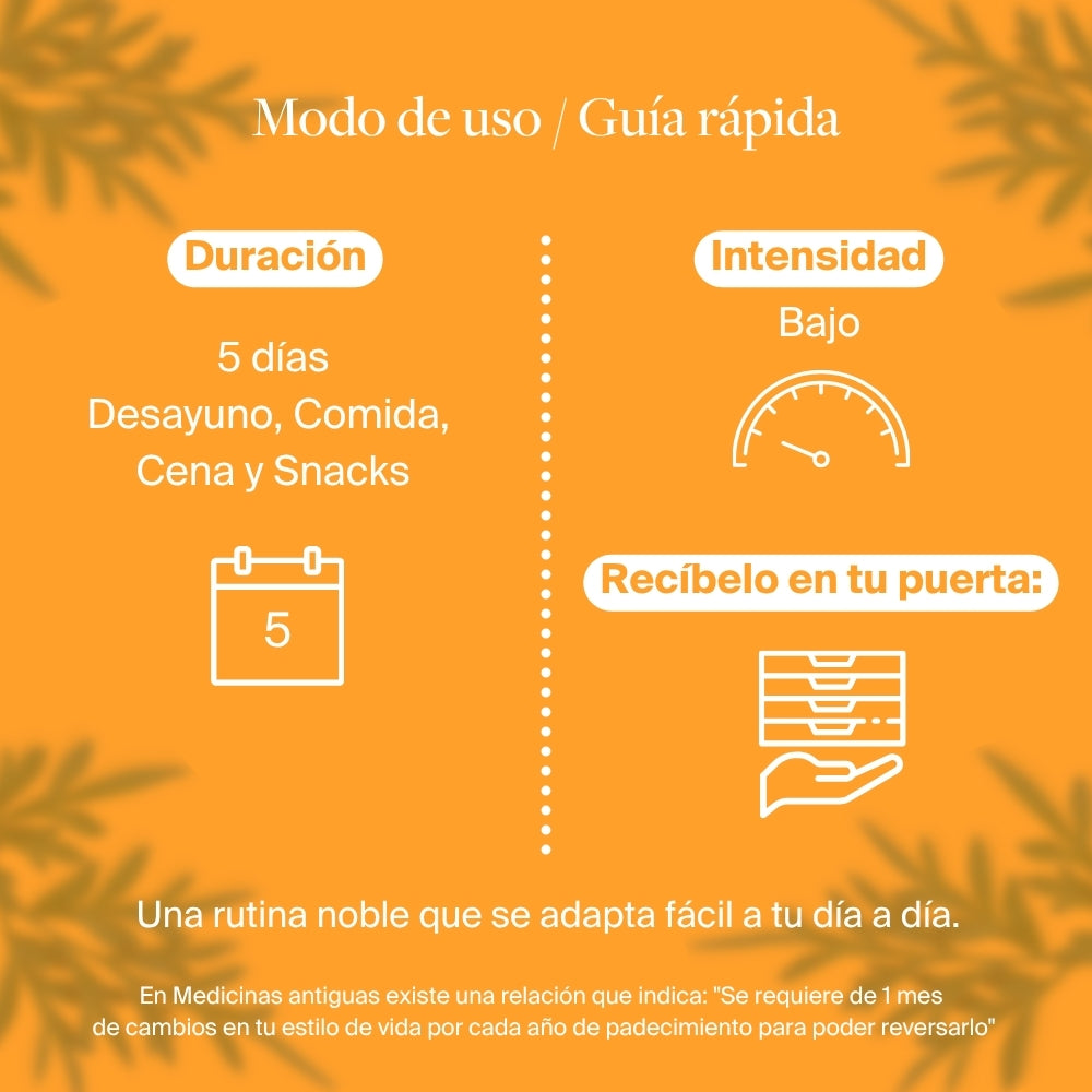 Programa Menú k.eat