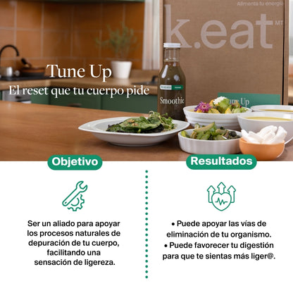 Programa Tune Up