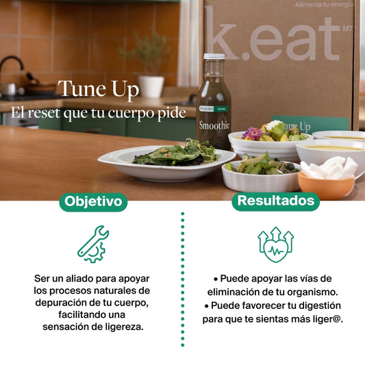 Programa Tune Up
