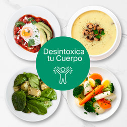 Programa Tune Up