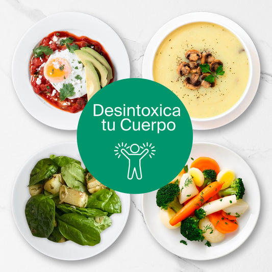 Programa Tune Up