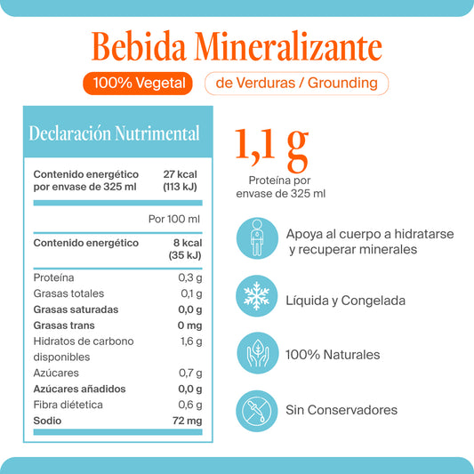 Caldo de Verduras Mineralizante / Grounding