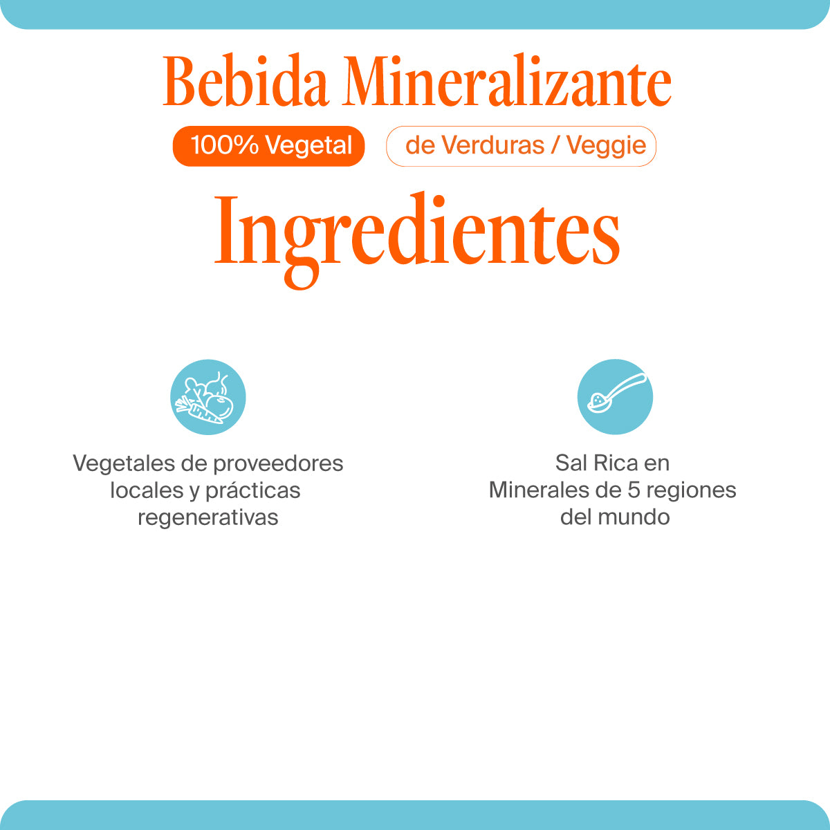 Caldo de Verduras Mineralizante / Veggie